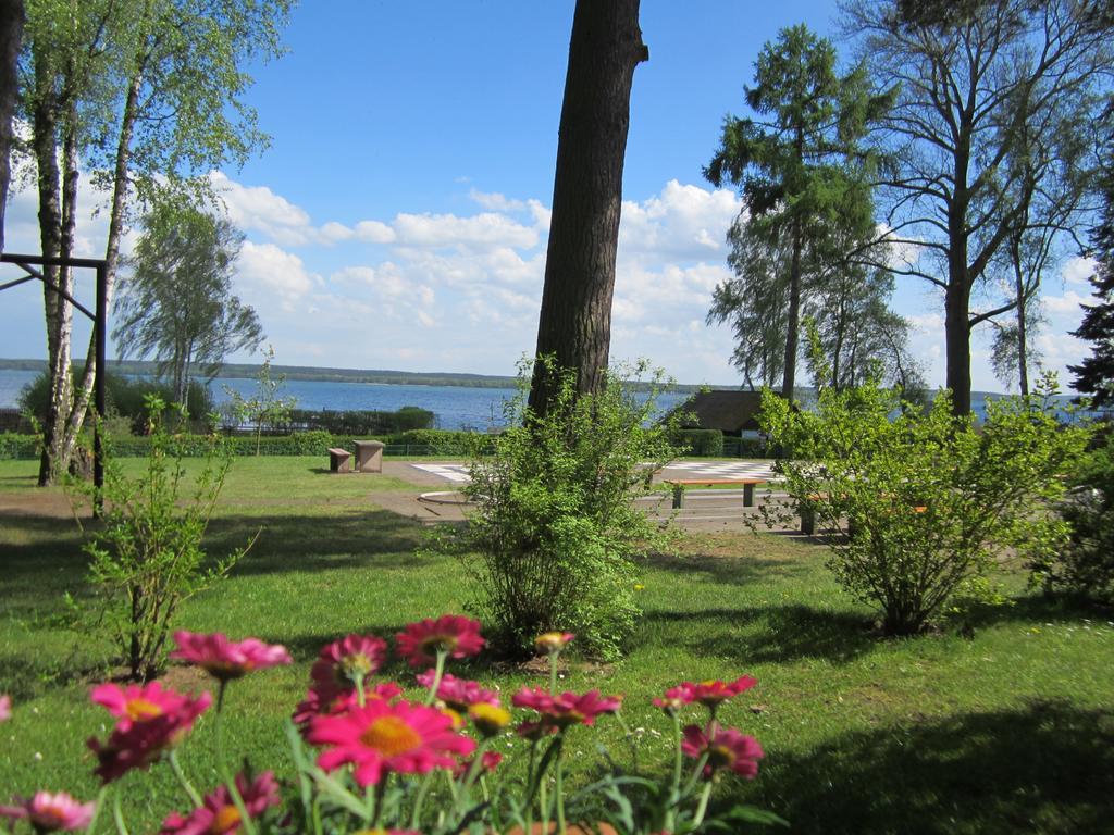 Heidenholz
